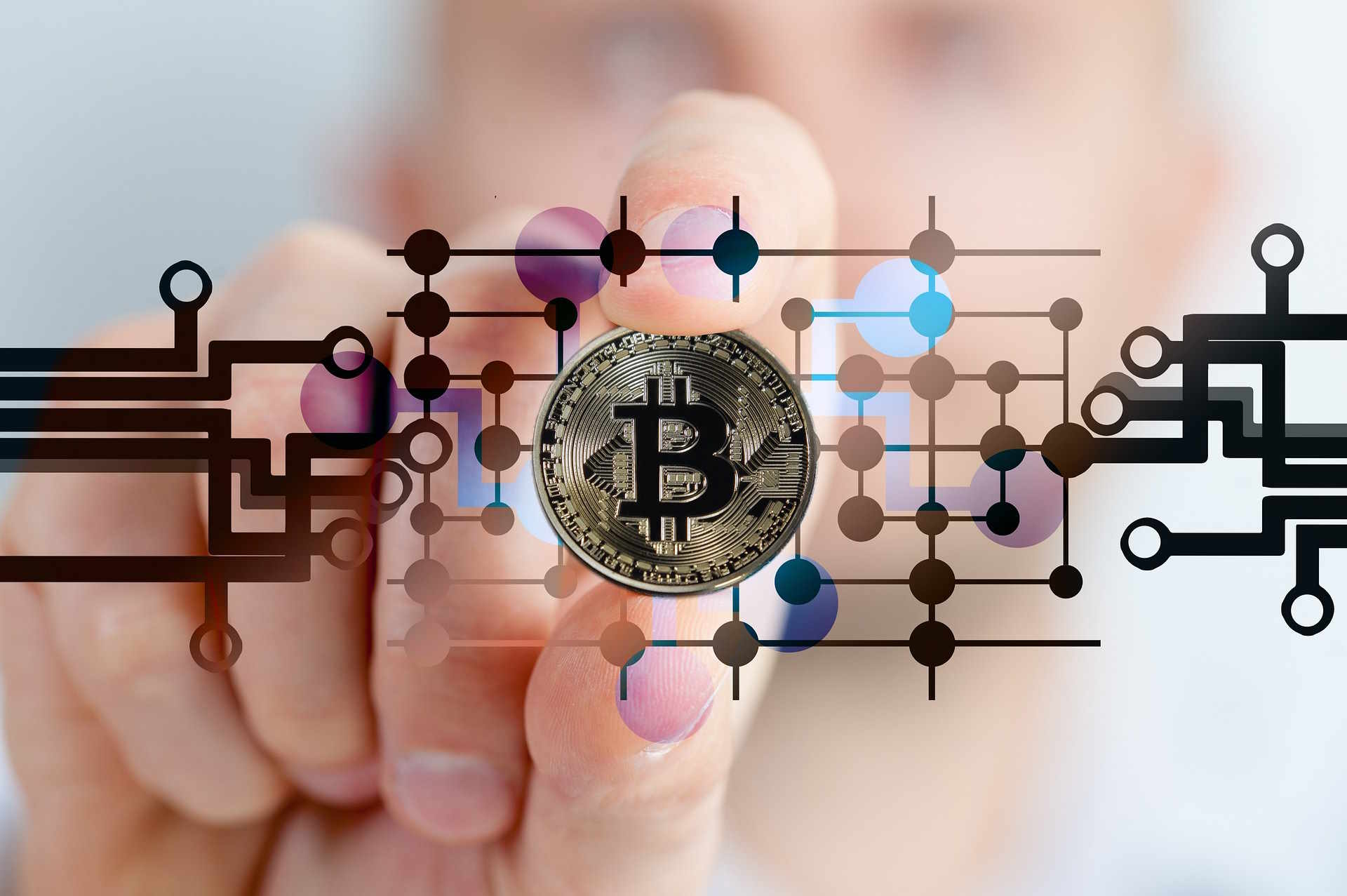 The Future of Crypto Investment: Opportunities Await!