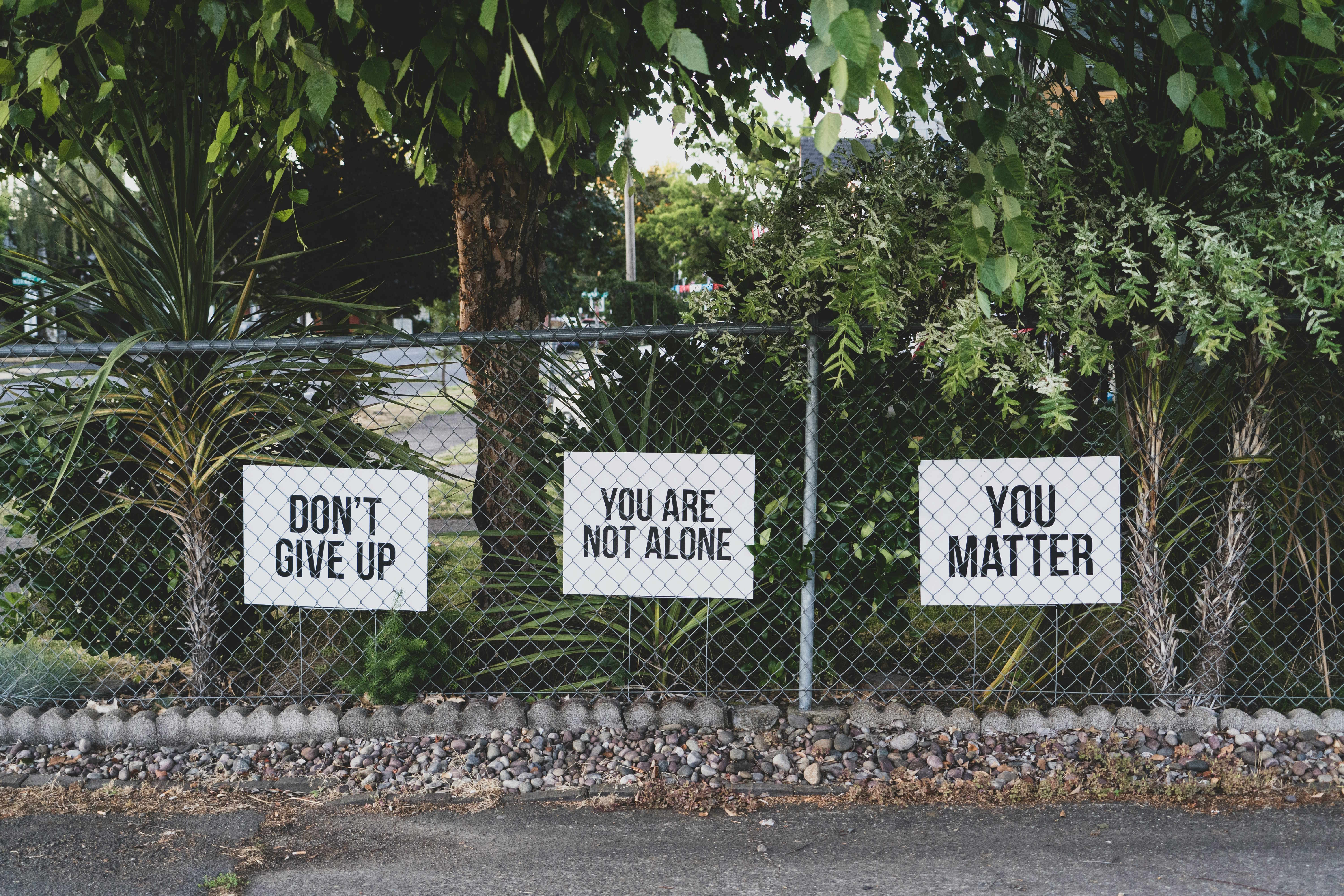 Rehab: A Path to Recovery