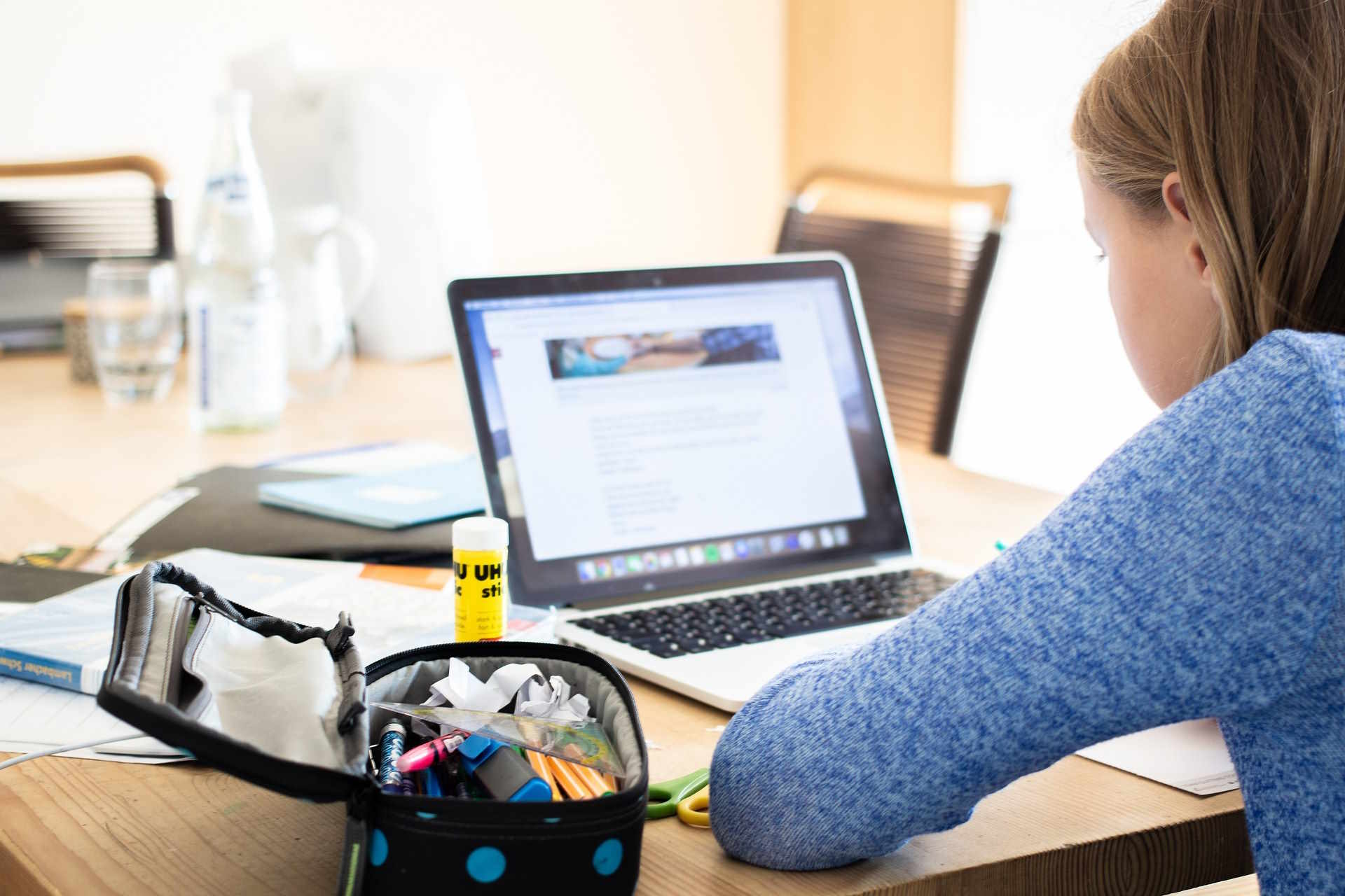 Unlocking Knowledge: Online Learning Platform Subscriptions